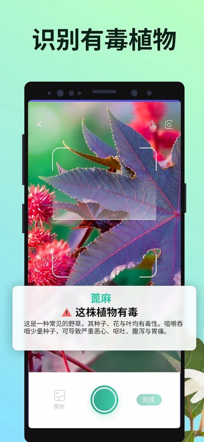 PictureThis图2