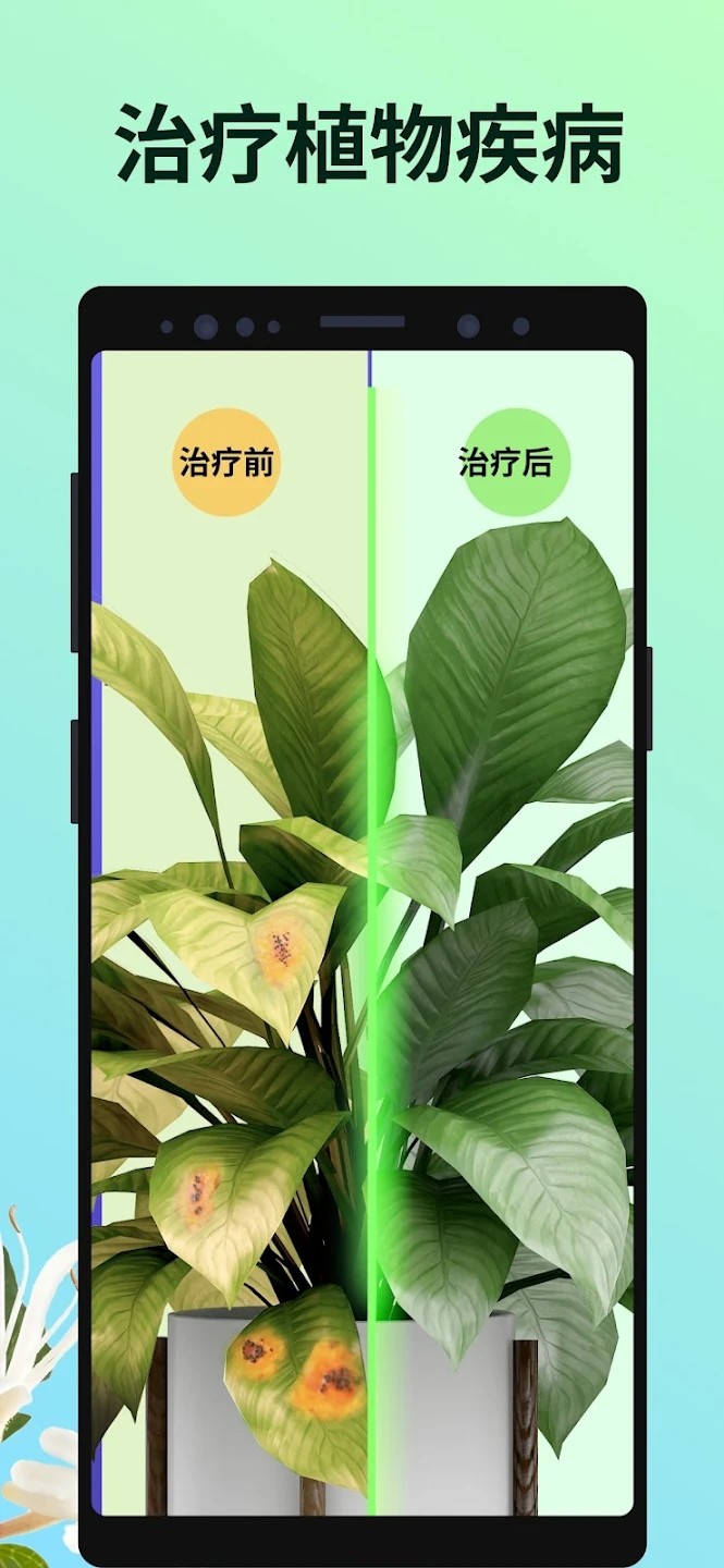 PictureThis图1