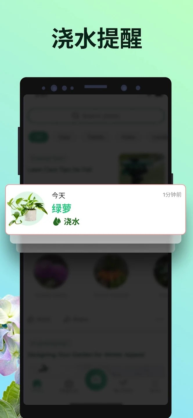 PictureThis图5