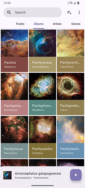 Phocid(3)