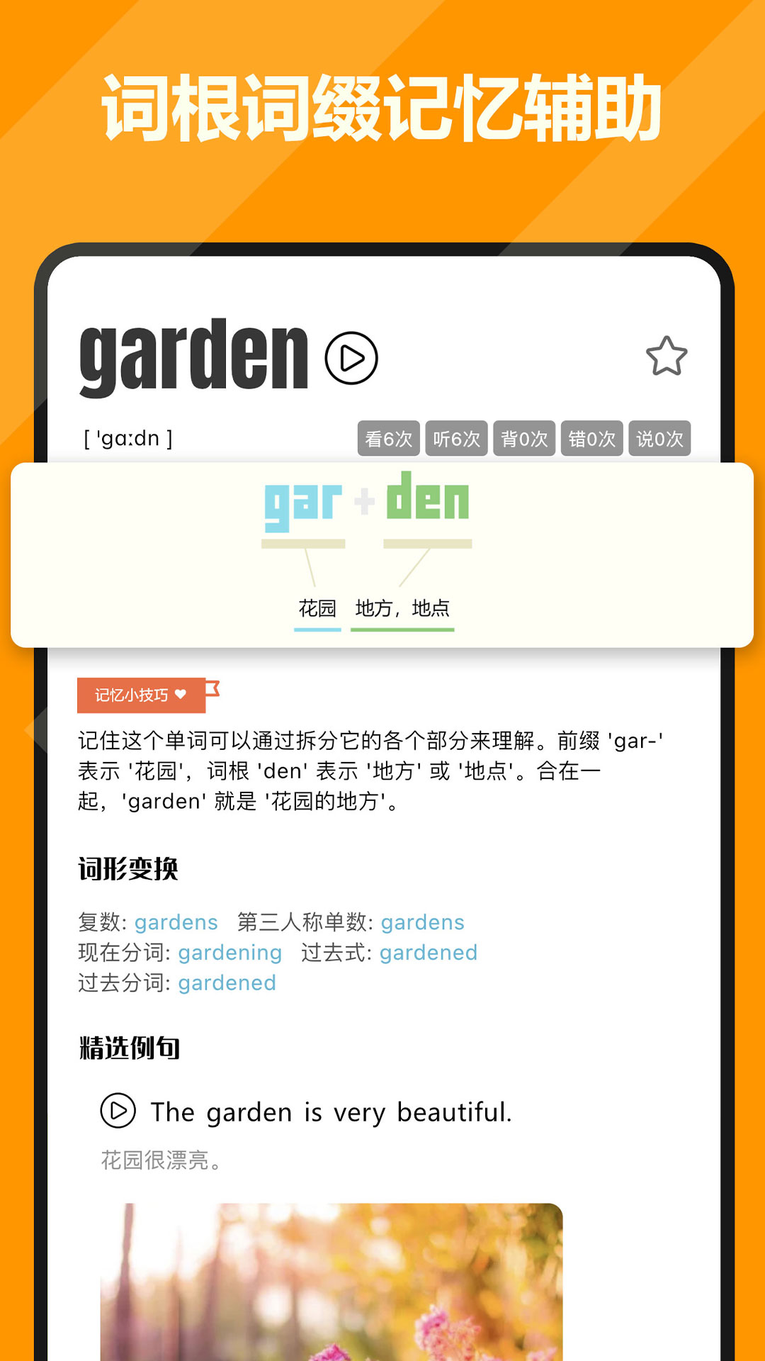 干词app官方版