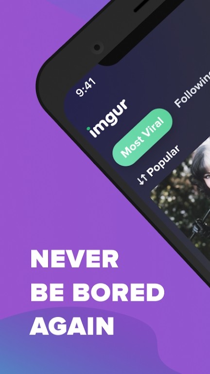 Imgur图1