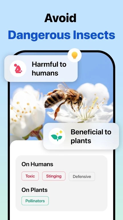 Picture Insect手机免费版图3