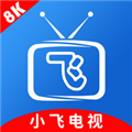 小飞电视投屏APP