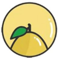 小柚子追剧大全