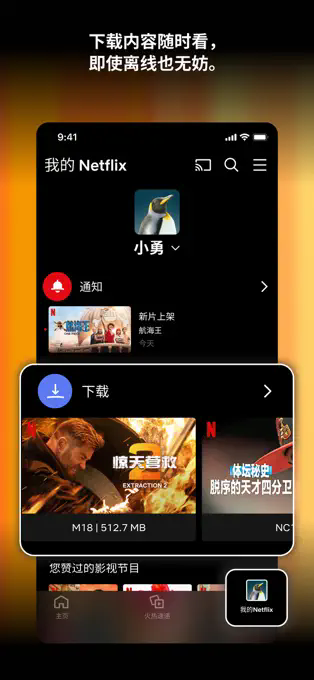 Netflix安卓版图2