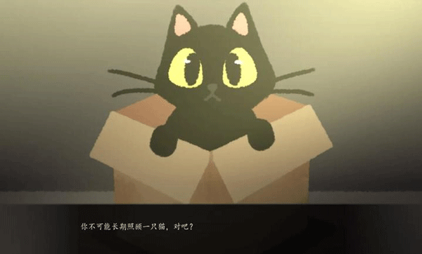 别带这只猫回家手机最新版图1