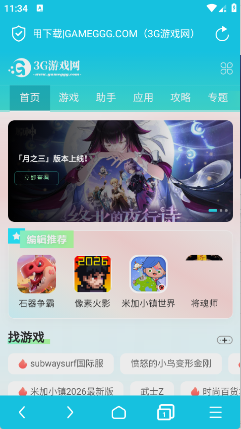 隐私浏览器正版(4)