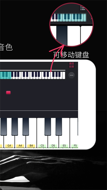 模拟钢琴无广告版图2