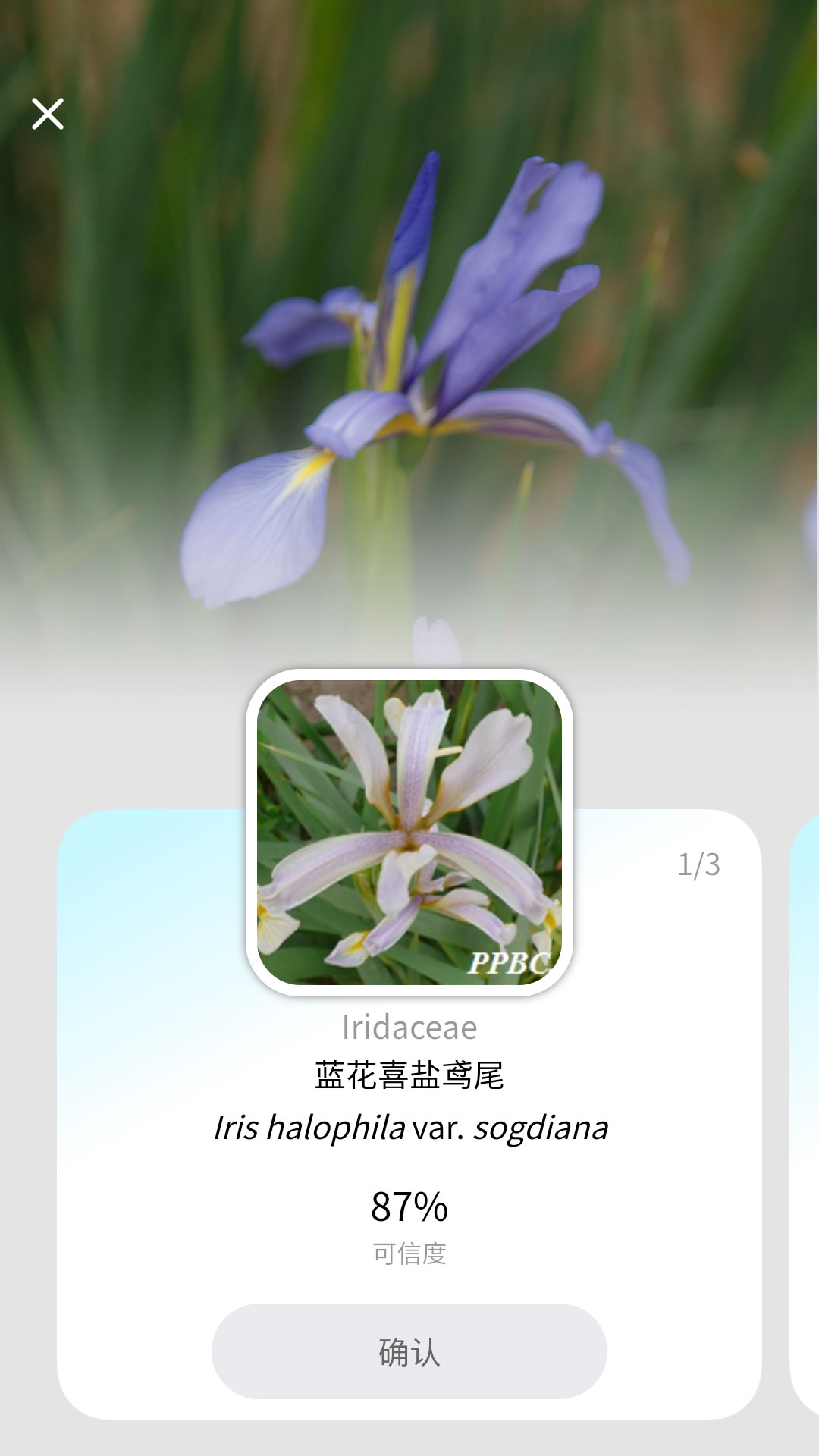 植物智正版
