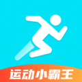 运动小霸王通用版