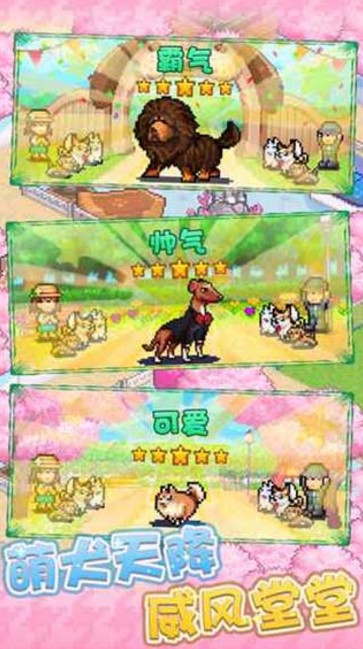 发现狗狗乐园安卓官方版图2