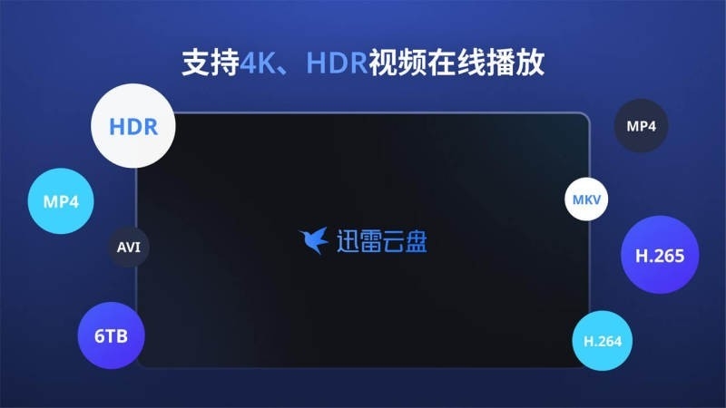 迅雷云盘tv版(3)