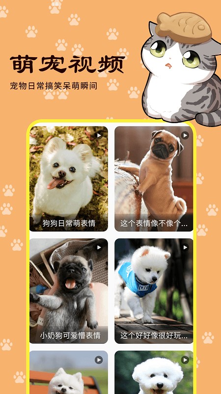 宠本本最新版图2