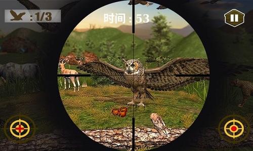 3d猫头鹰狩猎模拟安卓版图1