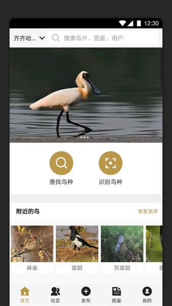 识鸟家手机正版图2