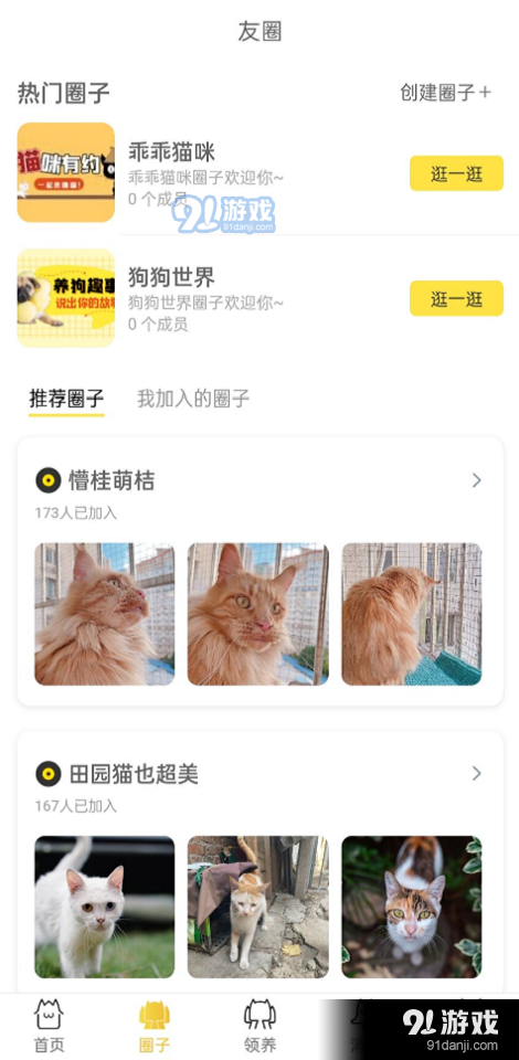 种猫家免费版图2