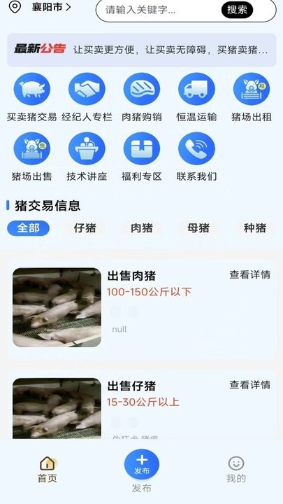 易猪宝(2)