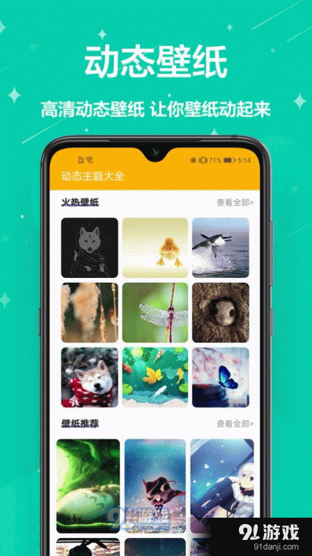熊猫手机壁纸