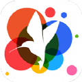 小鸟壁纸V2.4.6