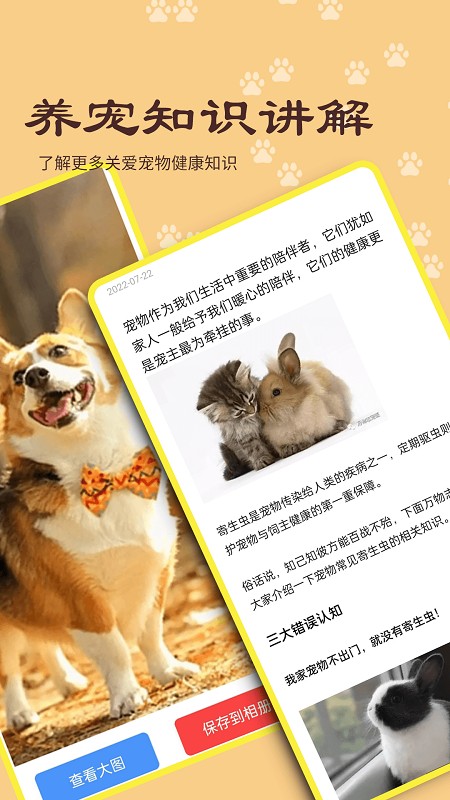 宠本本最新版图4