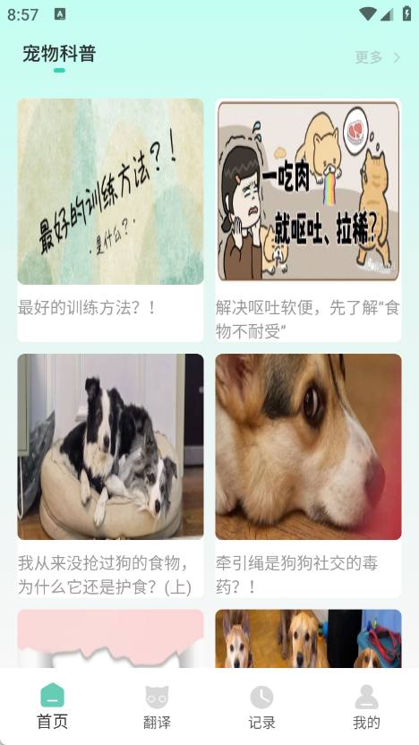 游猫猫免费原版图2