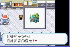 口袋妖怪叶绿游戏纯净最新版图2