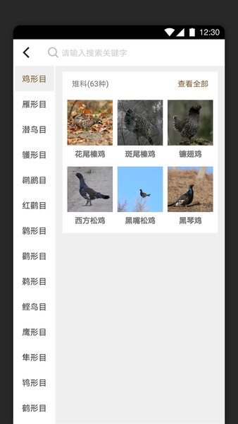 识鸟家手机正版图3