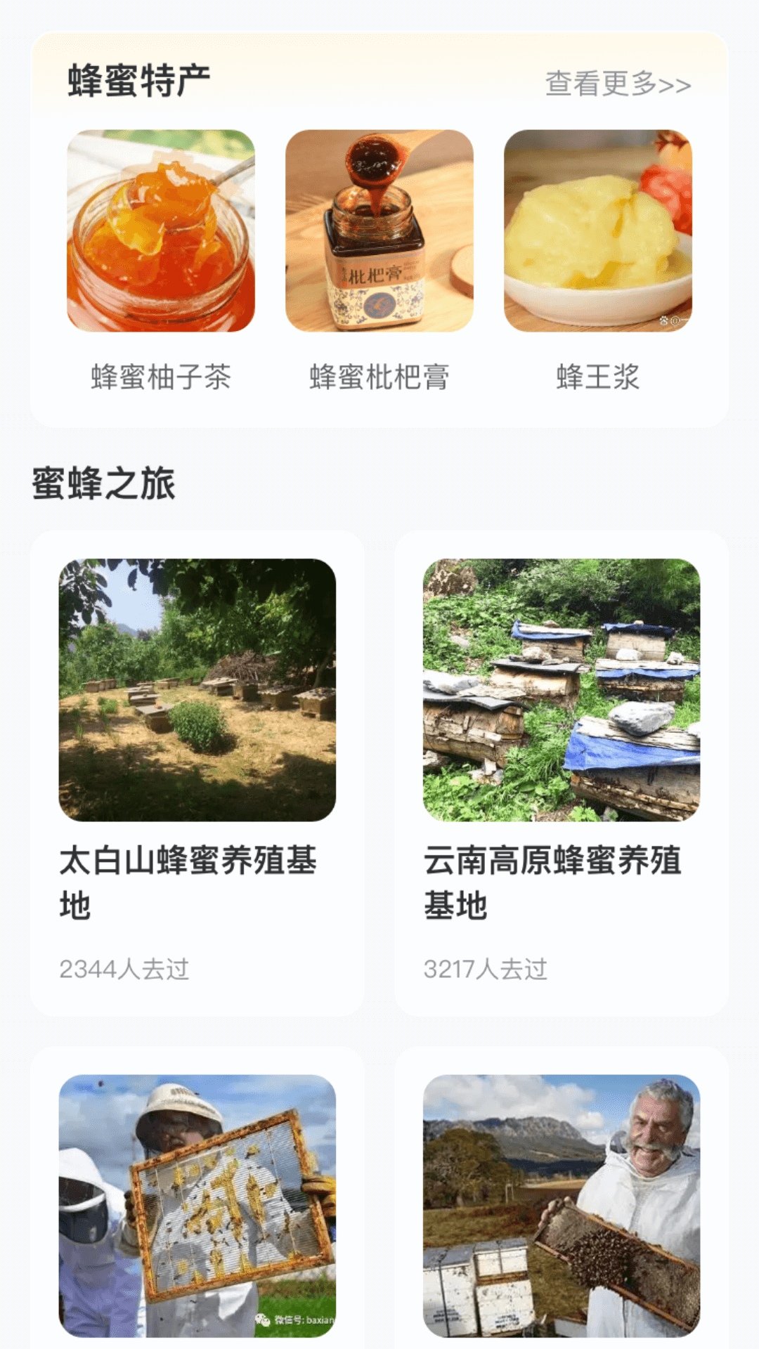 蜜蜂旅游手机最新版