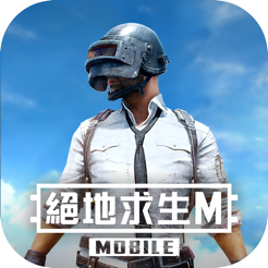 PUPG国际服正版