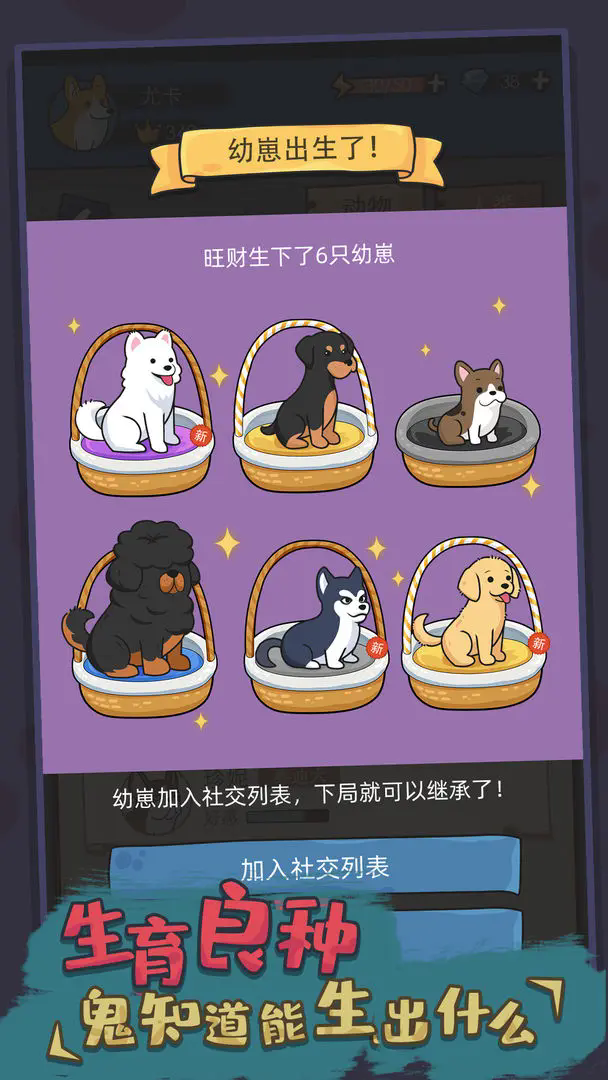 狗生模拟器游戏(1)