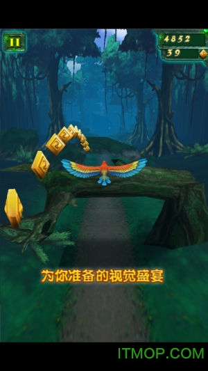丛林大逃亡原版图4