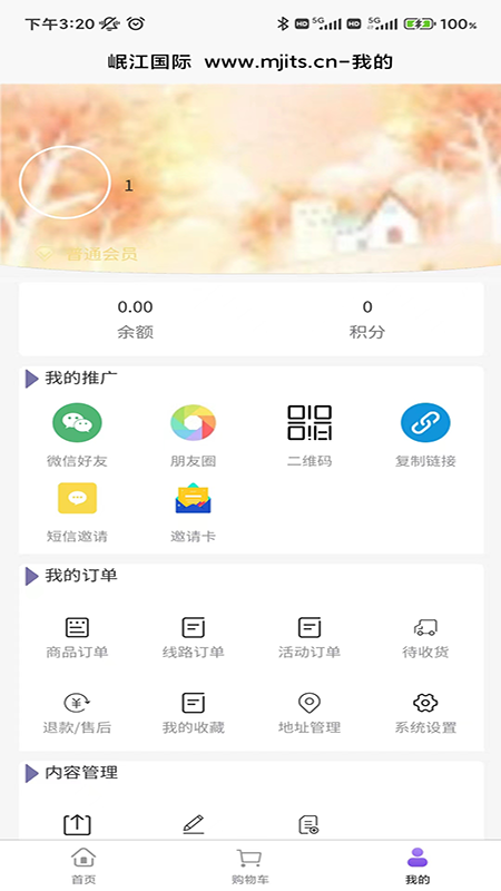 岷江国际直装版