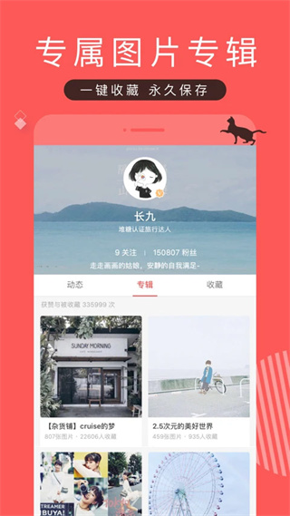 堆糖手机版