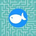 迷宫和鱼（maze & fish）手机免费版