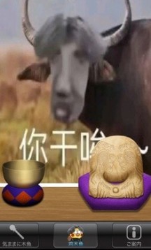 电子木鱼-鸡木鱼图3