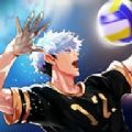 排球故事官方版