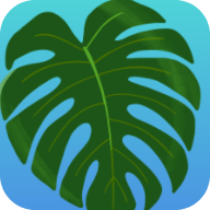 植物疗愈：纽约时光器安卓官方版