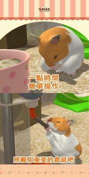 我的仓鼠游戏