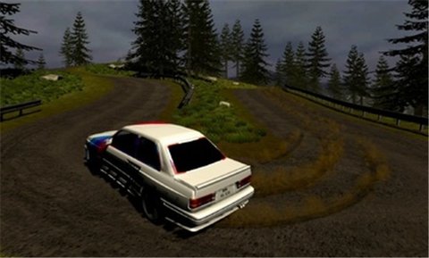 拉力赛大师2（Rally Masters 2）游戏绿色版图2