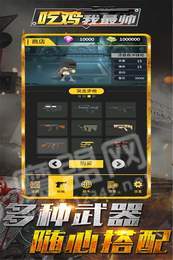 吃鸡我最帅