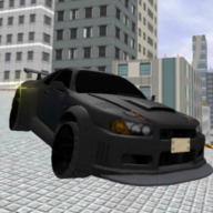 Crazy Stunts