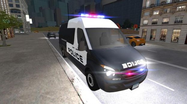 美国警车驾驶