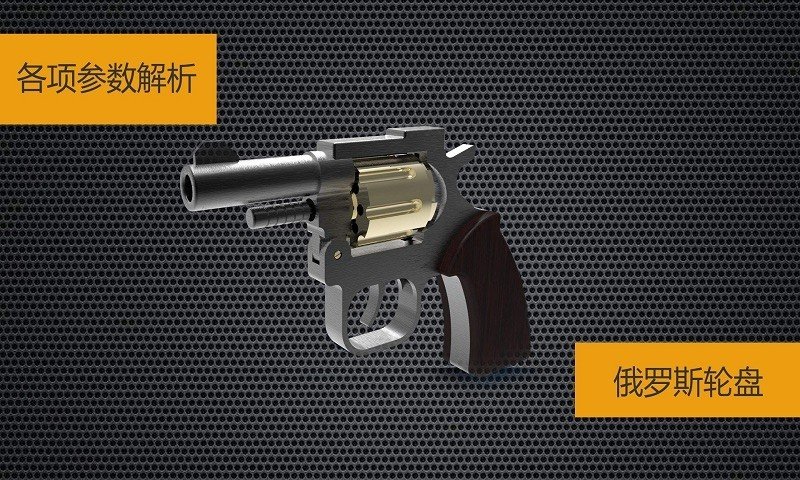 真实武器模拟2全武器版3