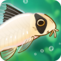 Pondlife安装器游戏