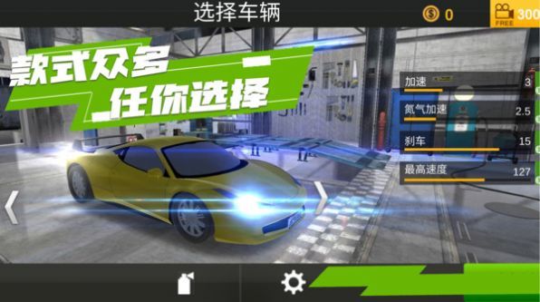 山脊驾驶模拟图1