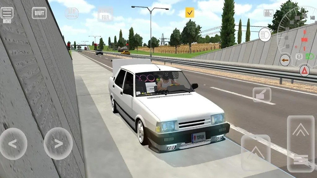 托法斯赛车汉化版(5)