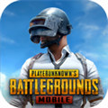 国际服pubgmobile手游版