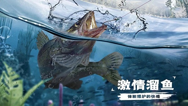 天天钓鱼手机版图3