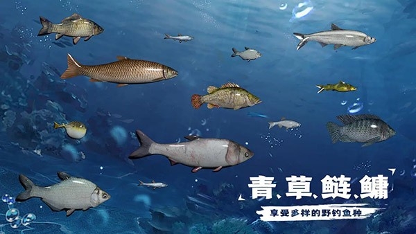 天天钓鱼手机版图4